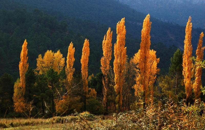 Casa Rural Nacimiento Rio Mundo Riópar Εξωτερικό φωτογραφία