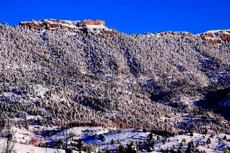 Casa Rural Nacimiento Rio Mundo Riópar Εξωτερικό φωτογραφία